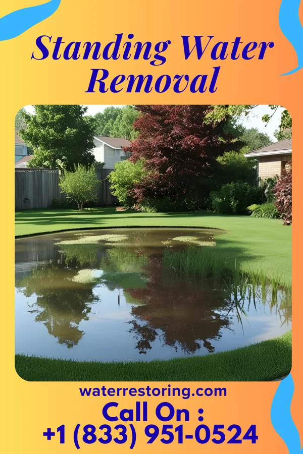 Standing Water Removal in Smyrna, GA